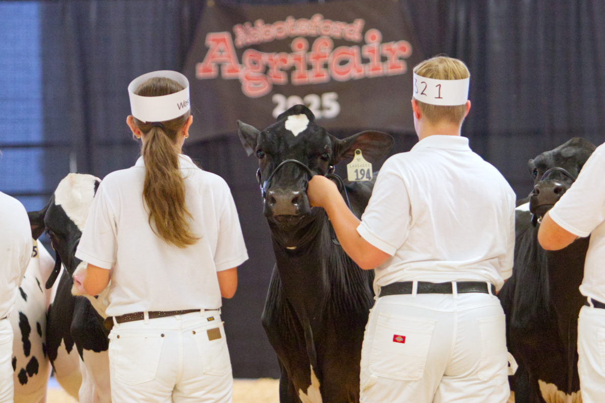 PHOTOS: Agrifair kicks off with a moo