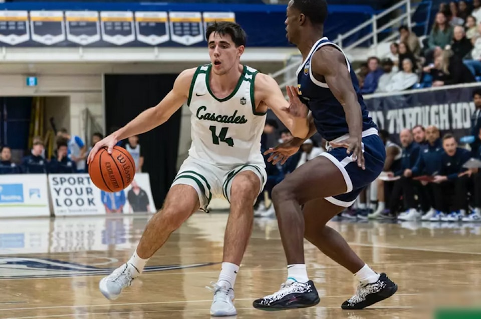 ufvbball