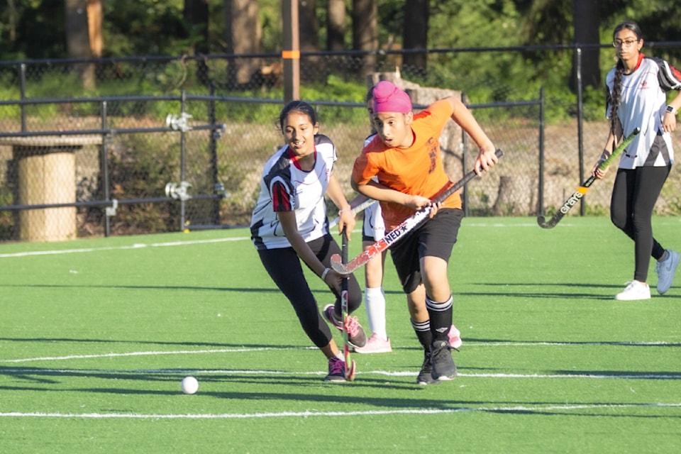 wolverines-cup