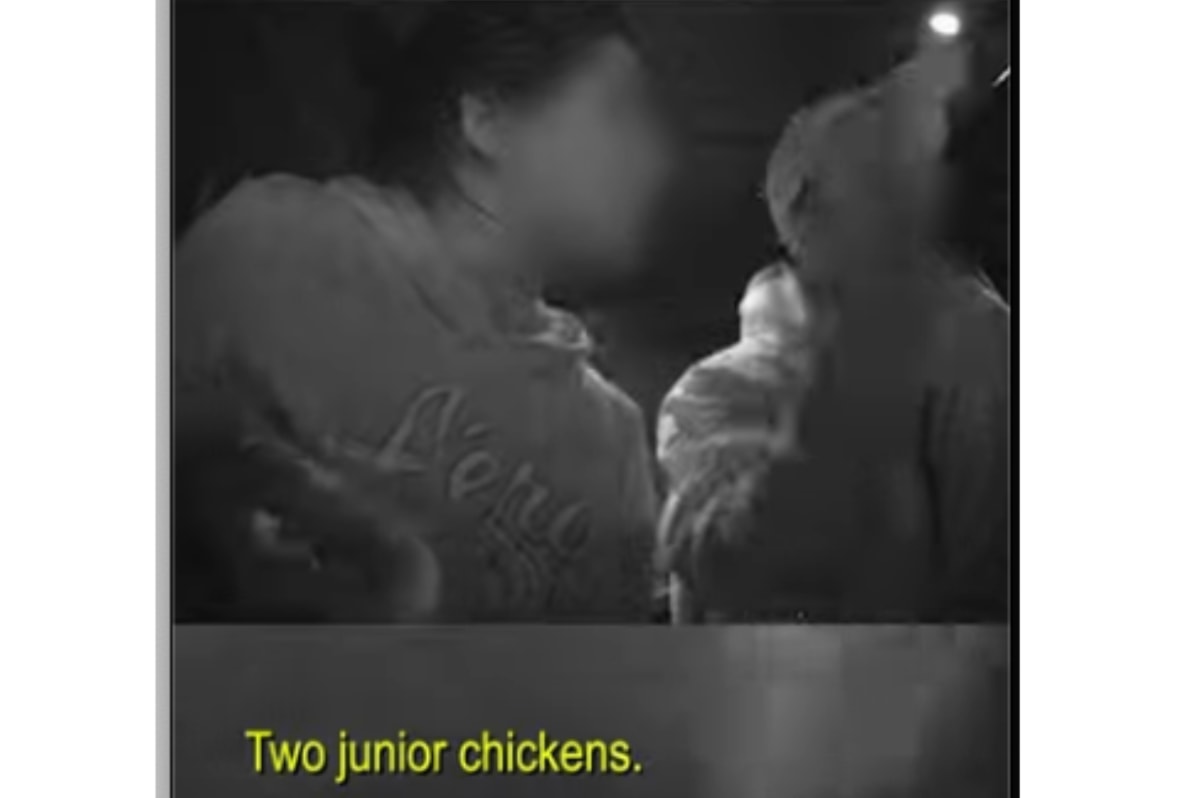 VIDEO: Abbotsford car thieves busted after ordering McDonald's drive-thru