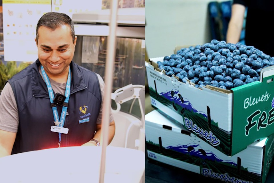 hospital-blueberries