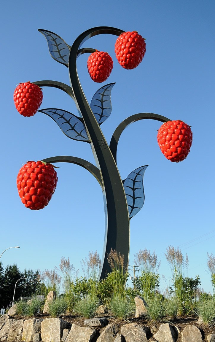 17841abbotsfordweb-725-ClearbrookRd-NewPublicArt-Raspberry-1-jvp