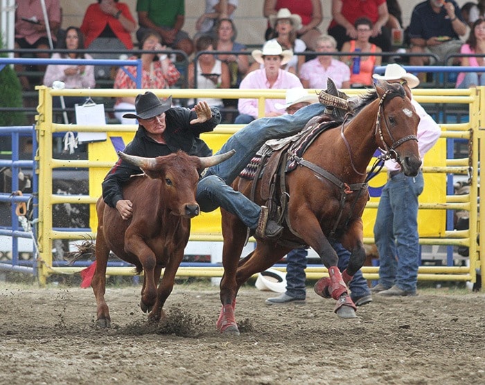 22462abbotsford-20140801Rodeo10