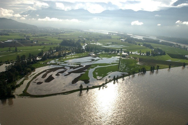 25905chilliwack2007flood2.FILE