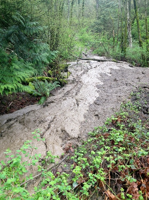 28515abbotsfordmudslide