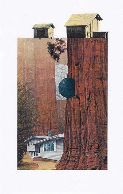 2879abbotsfordCollagebyAimeeHennyBrown