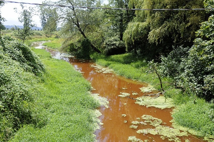 The Matsqui Slough was a deep red-brown colour near Harris Road Wednesday.