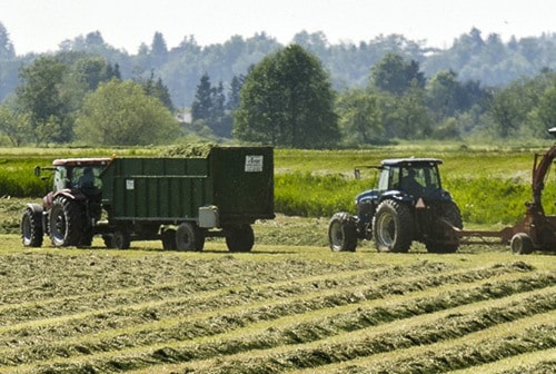 ABBOTSFORD, BC (11/05/2012) - Agriculture /Dan Pearce