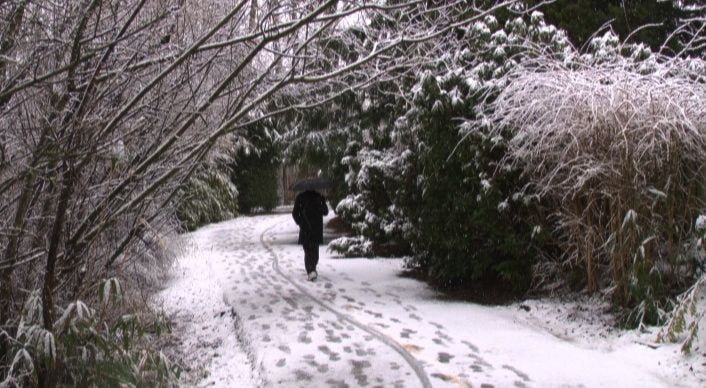 38147abbotsford20120229winterstorm2