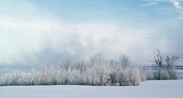 Blowing snow or steam in winter wilderness
