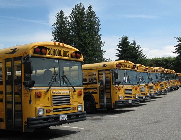 52253abbotsfordschoolbuses2