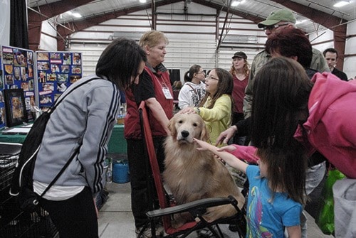 59069abbotsfordpetexpo