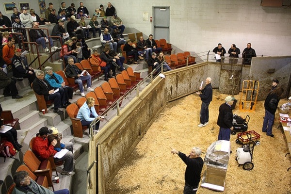McClary Stockyard's annual Make a Difference Sale 2014