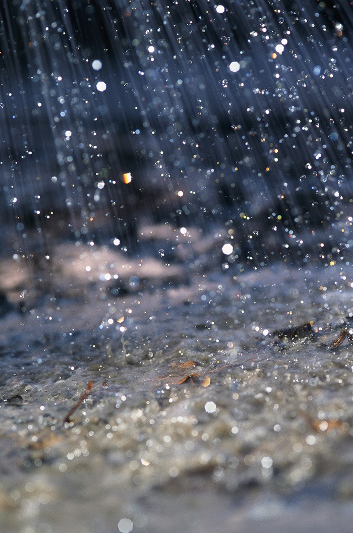Warning issued for heavy rainstorm heading for Fraser Valley - The  Abbotsford News