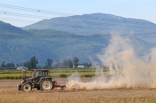 A tractor kicks up dust while plowing a Sumas Prairie field in July.