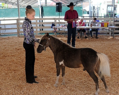 68410abbotsfordAgrifair-10-MORROW