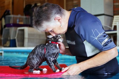 Kendell De Menech takes a cat for a swim at her facility.