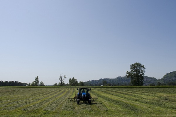 ABBOTSFORD, BC (11/05/2012) - Agriculture /Dan Pearce