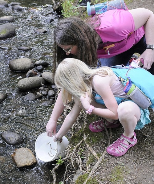 98805abbotsfordMother-sDayfishrelease-1-MORROW