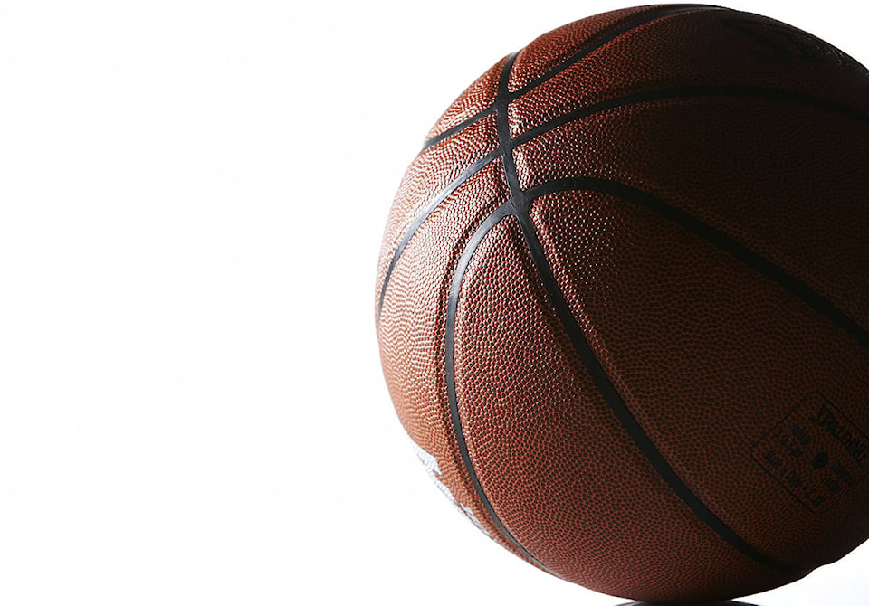 web1_basketball