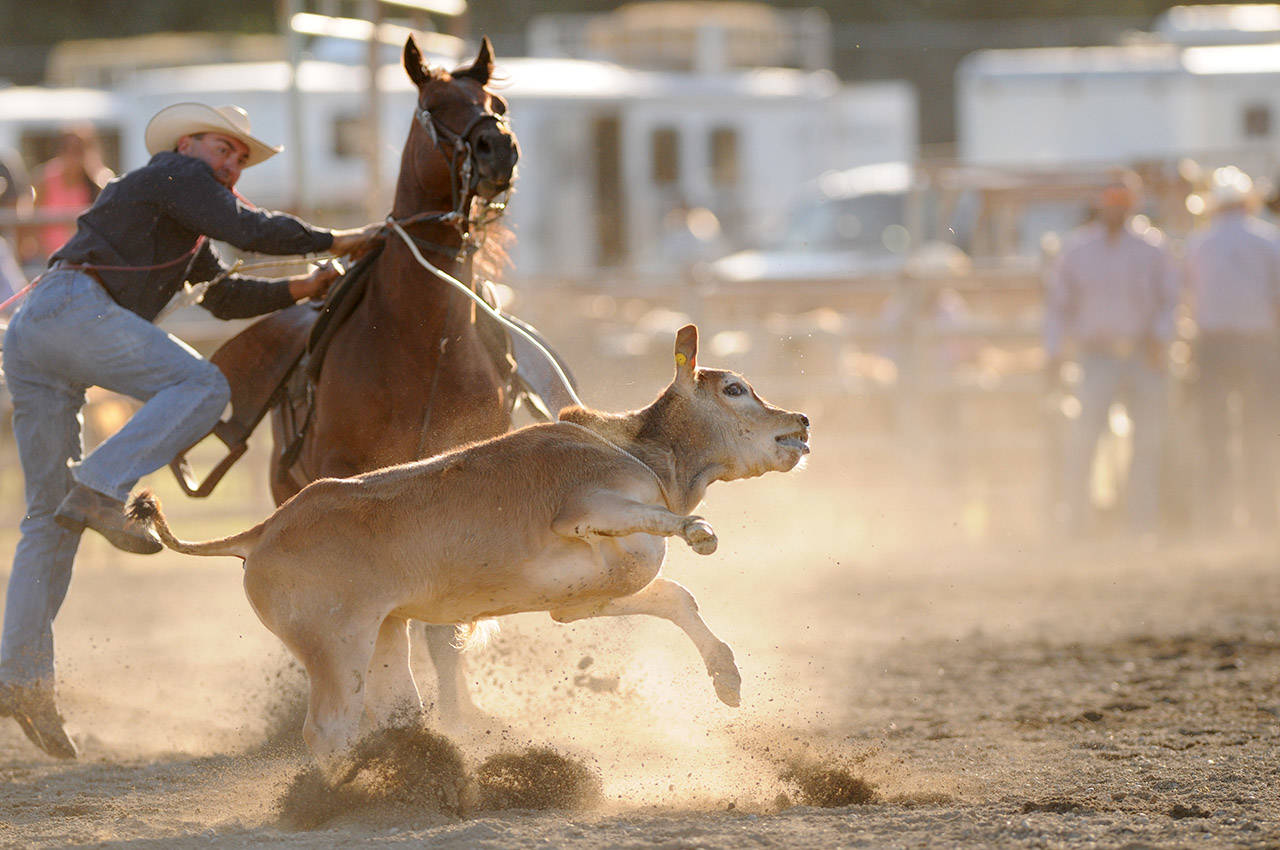 B.C. Rodeo Association responds to campaign against Chilliwack Fair