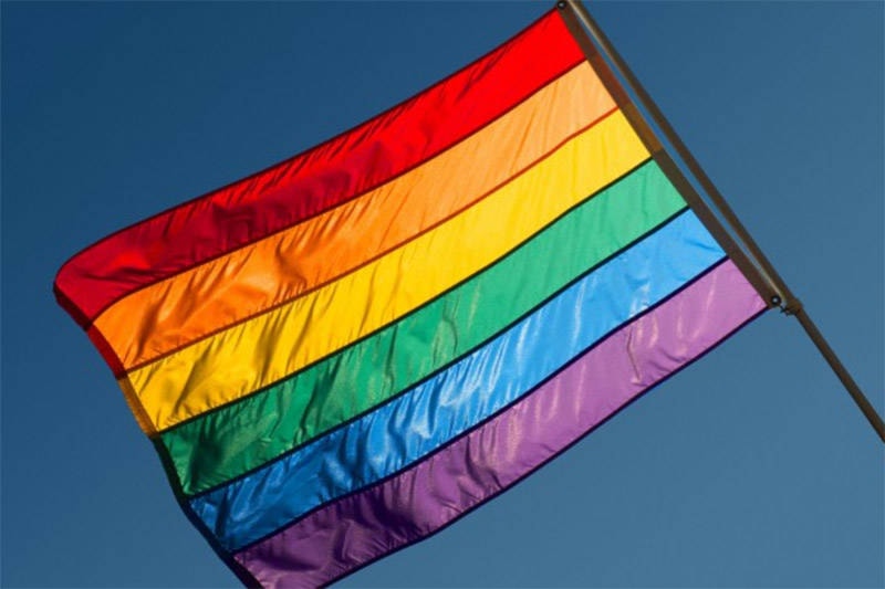 9452175_web1_PrideFlag