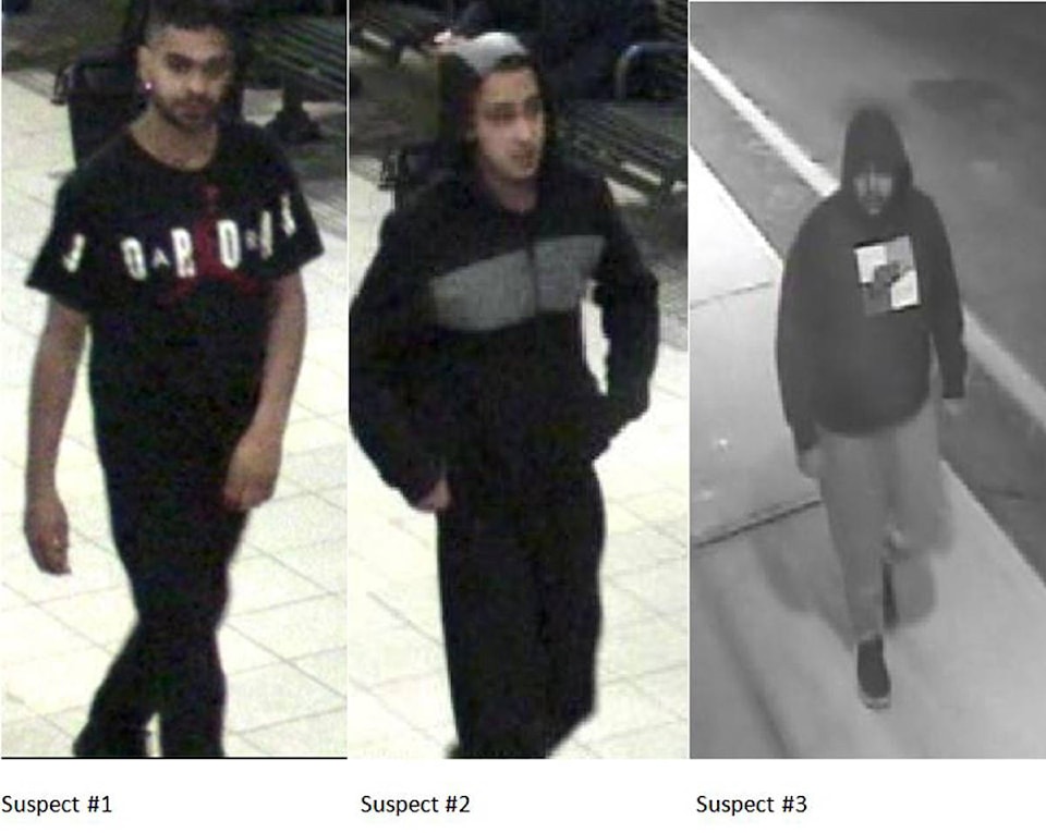 11074035_web1_peel-assault-suspects-11