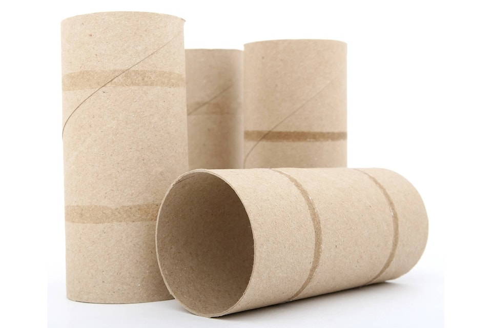 12172696_web1_toilet-paper-roll