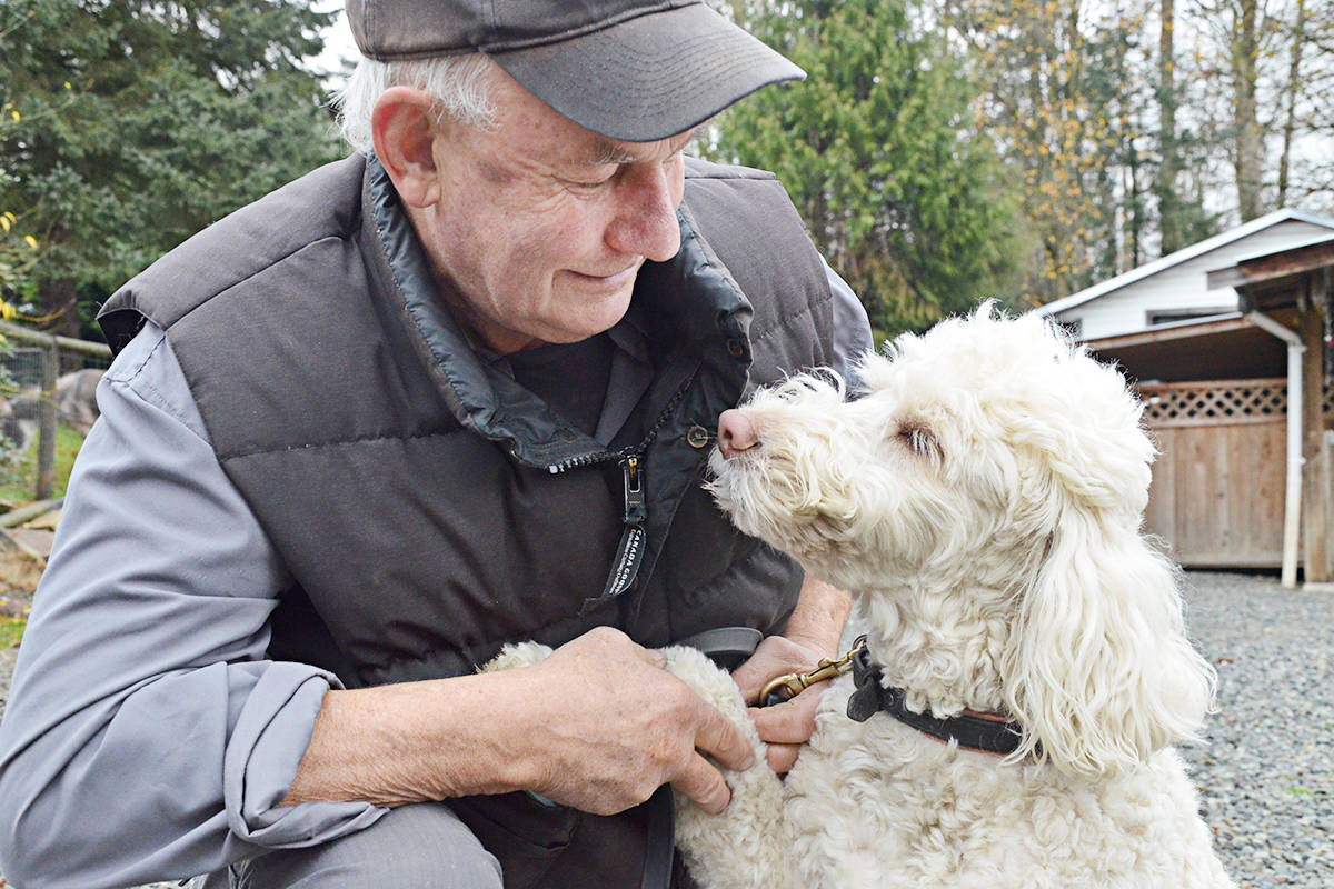 Langley kennel owner goes to court over tickets for barking dogs The Abbotsford News