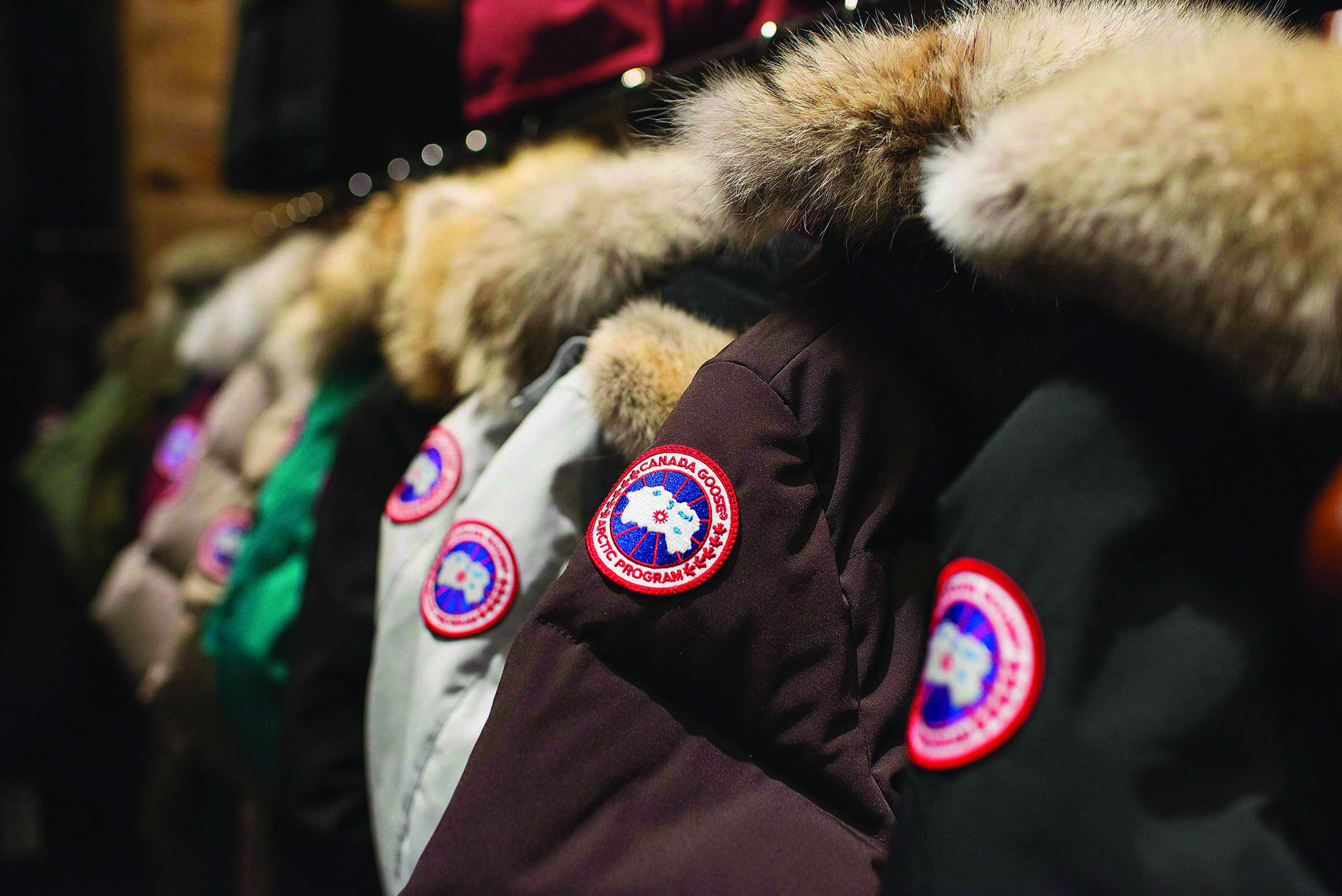 Canada goose chicago best sale rob