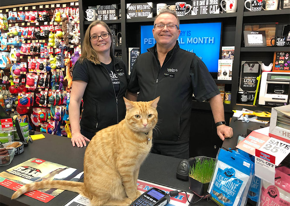 15380800_web1_Bosleys-Darwin-and-Meredith-with-Griffin_front-counter