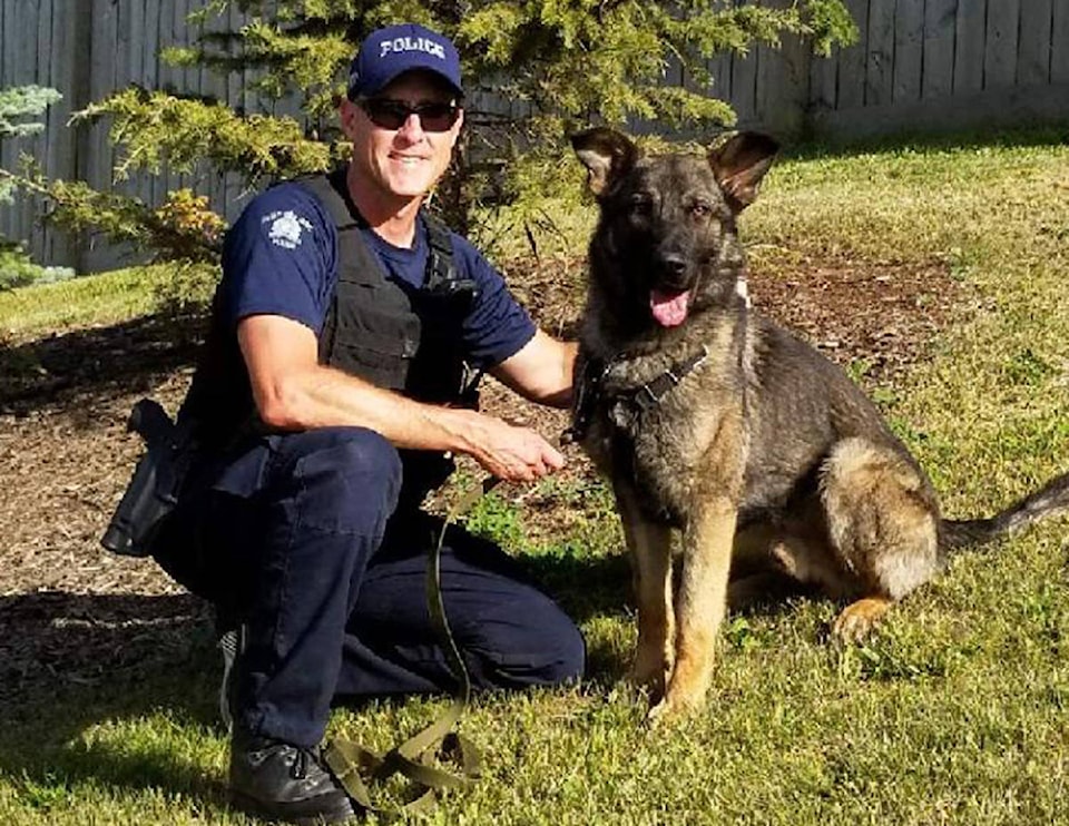 15485945_web1_190207-CVR-N-police-dog