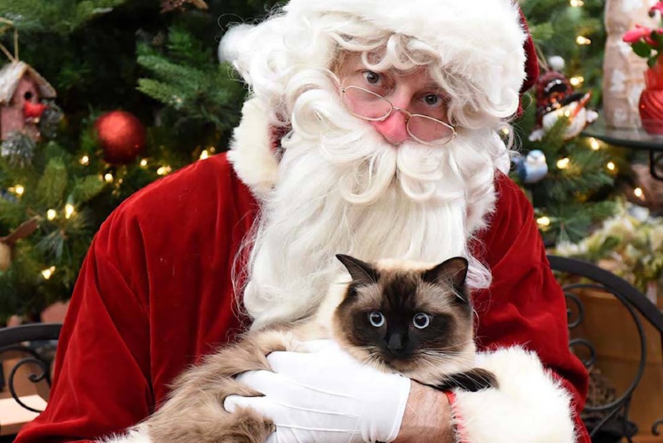 19589810_web1_191129-ABB-Pet-photos-with-Santa_1