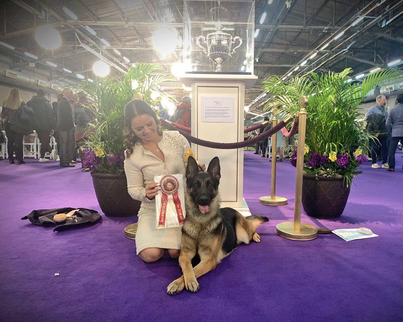 B.C. German Shepherd wins female breed prize at Westminster Kennel Club Dog Show The
