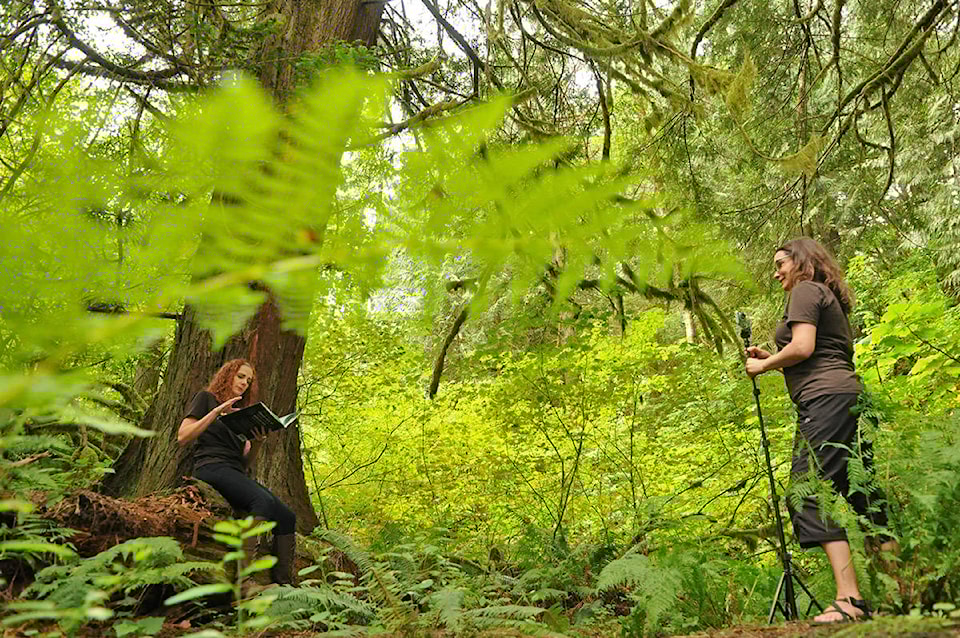 22626050_web1_200905-CPL-Library-Tree-Rrific-Videos_2