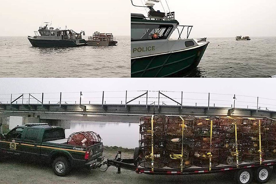 Illegal' Canadian crab traps, fishing gear seized in U.S. waters