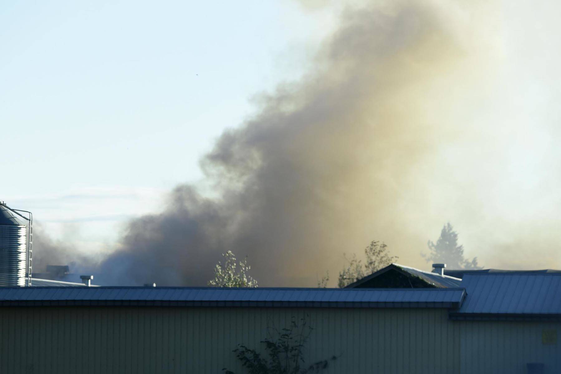 23109106_web1_201024-ABB-fire-mt-lehman2_2