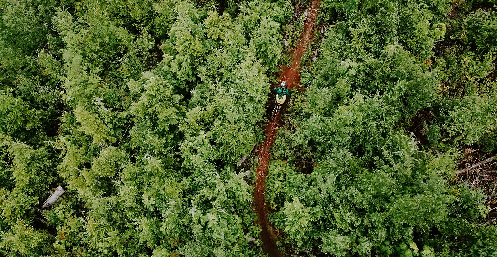 Abbotsfords Sumas Mountain Regional Park boasts multiple trails popular with mountain bikers. Photo courtesy Abbotsford Tourism