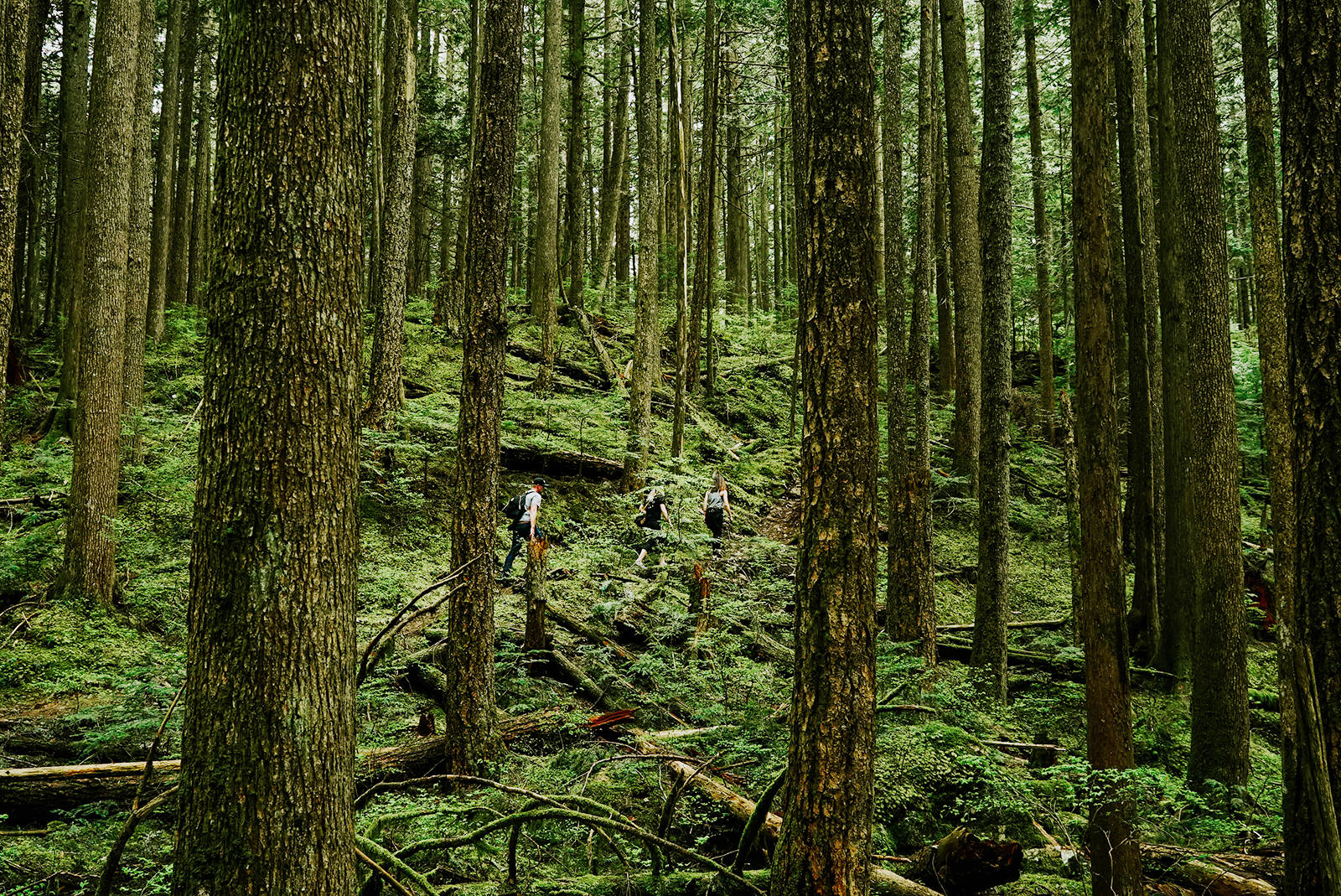 With more than 2,584 acres of parkland, theres an outdoor space and activity for everyone to enjoy in Abbotsford! Photo courtesy Tourism Abbotsford.