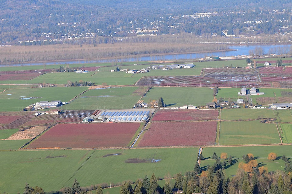 25804878_web1_200130-CPL-ABB-ALR-rules-farmland-aerial_1