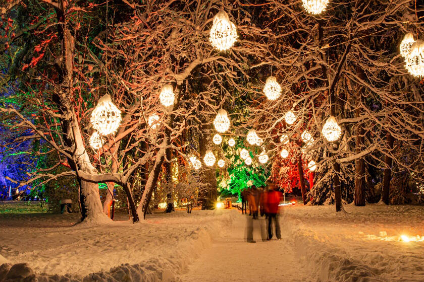 Lumagica makes its Canadian debut at Cloverdale Fairgrounds in Surrey from Dec. 3 to 30 (excluding Dec. 25). Visit daily from 4 to 10 p.m.