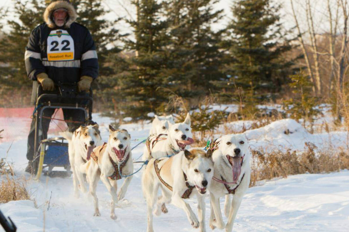Al Magaw, seen here in an undated picture, started mushing sled dogs in the late 1970s after taking part in a winter festival race in Salmo. After that he became passionate about training and racing dogs. Photo: Submitted