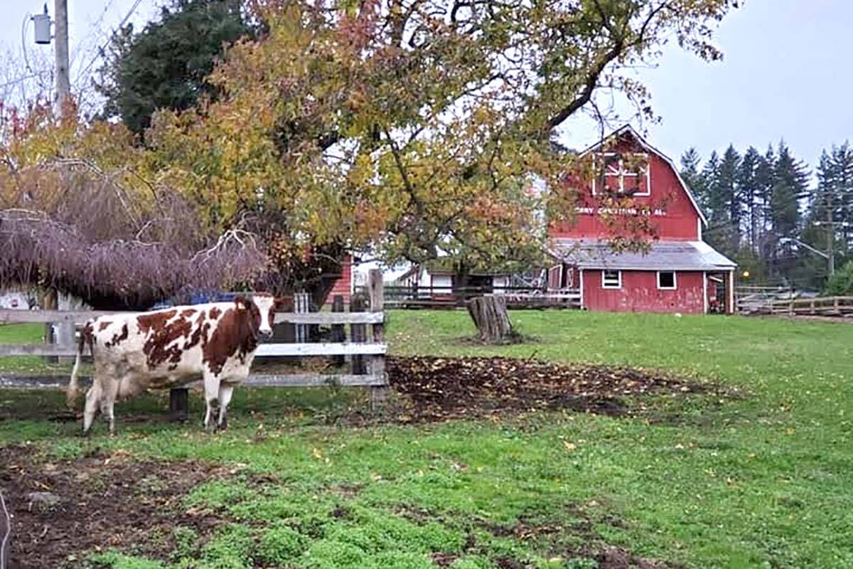 Petition aims to delay development of Cooper farm in Abbotsford - The  Abbotsford News