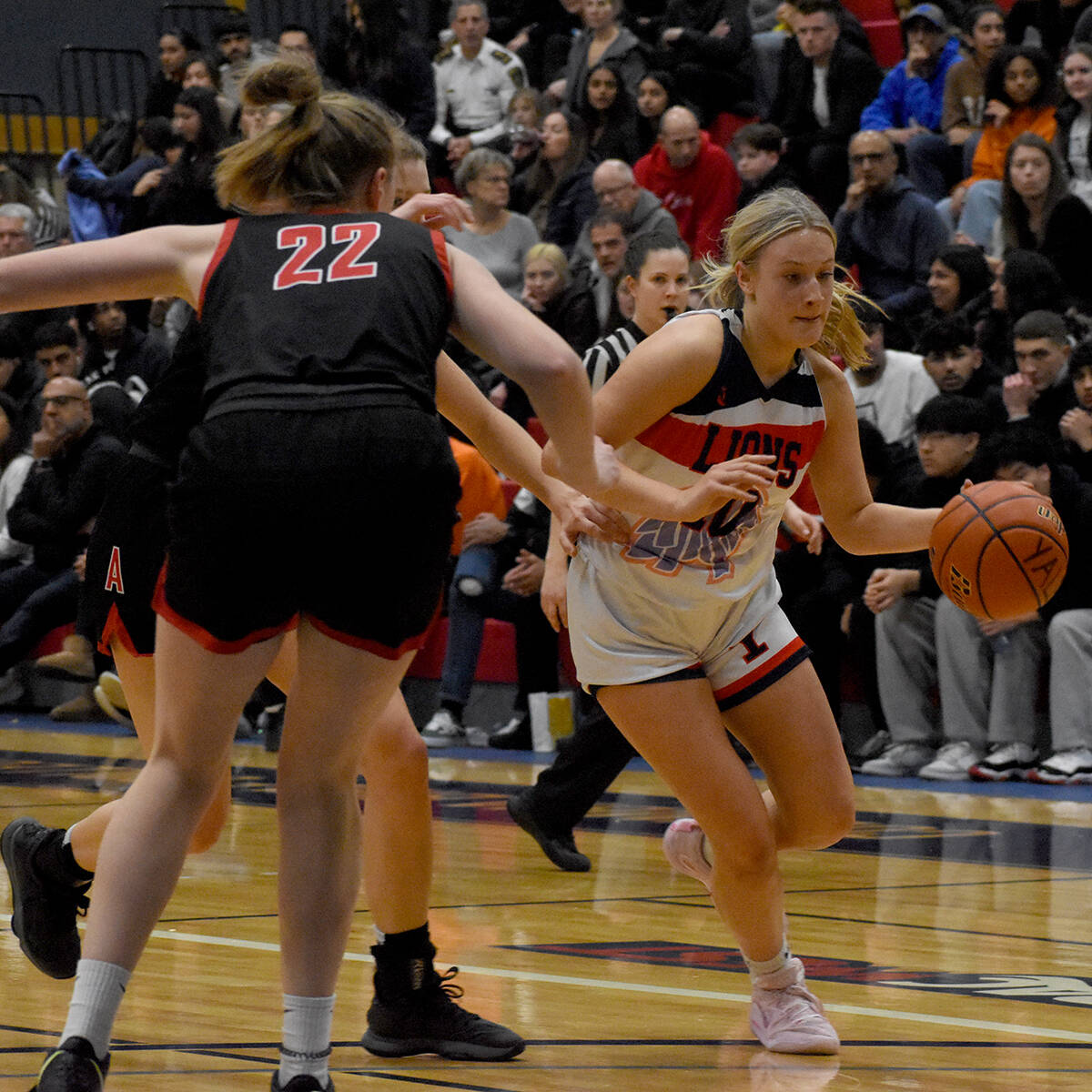 31272040_web1_221215-ABB-apdbball-3_1