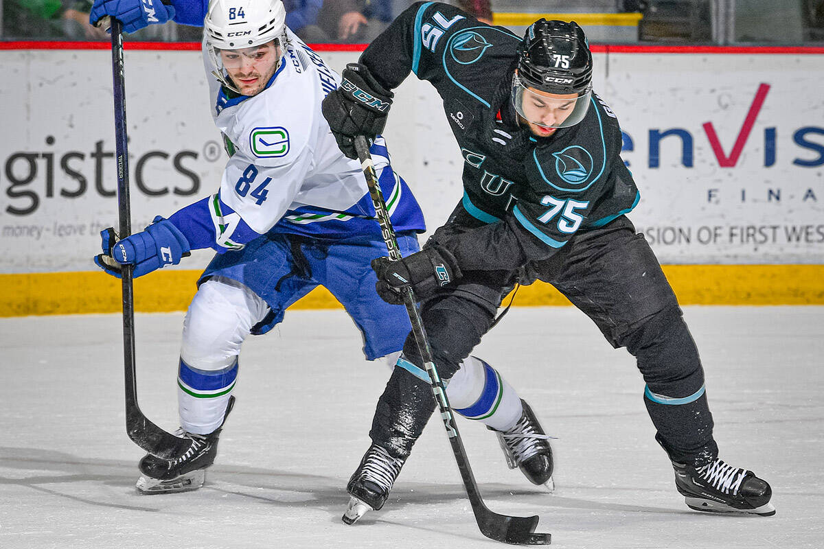 Abbotsford Canucks on X: Christian Wolanin picks up three points, Nils  Höglander scores the winner in Abbotsford's 3-2 comeback victory over San  Jose on Friday night. Read the full game recap here