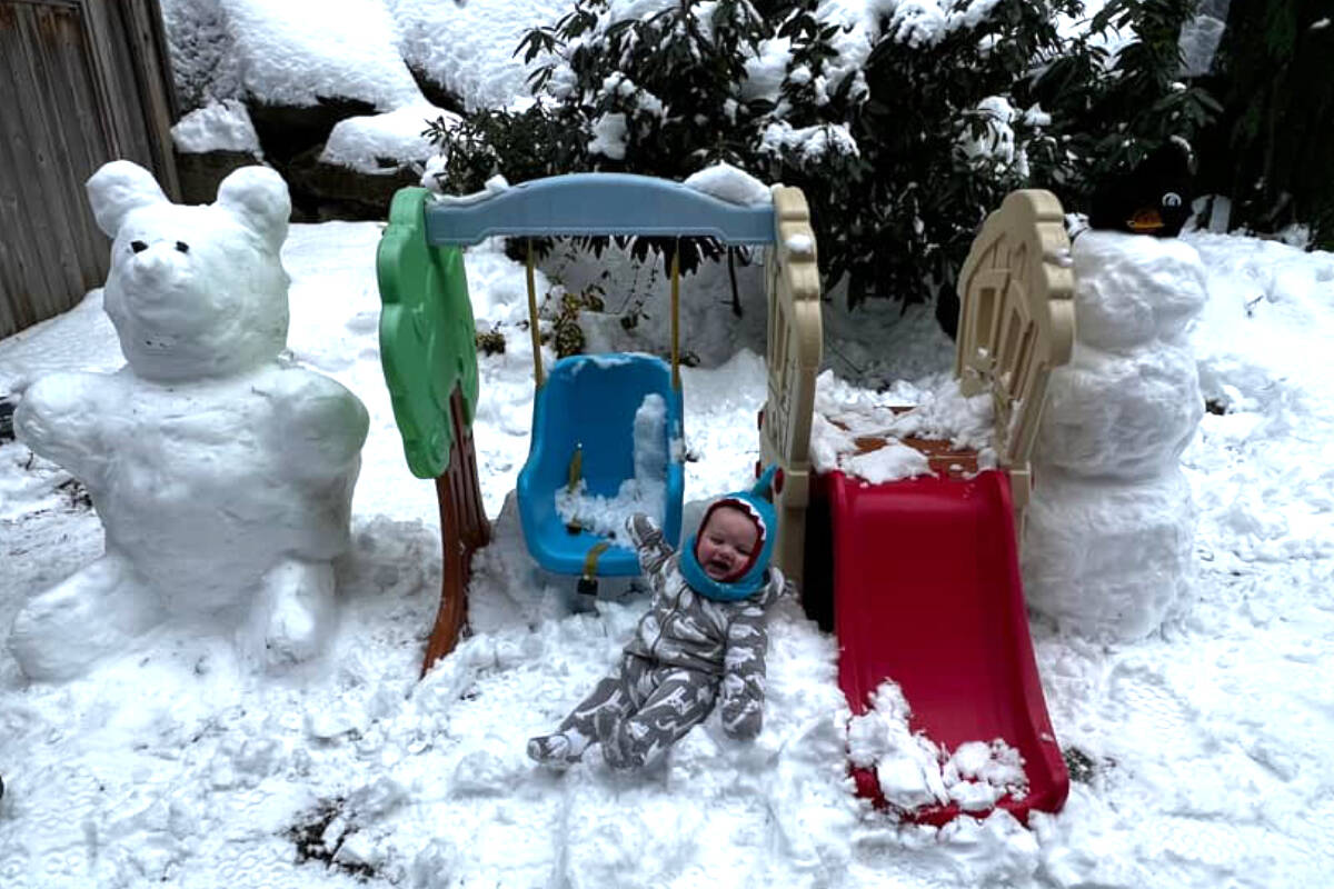 Abbotsford receives record snowfall on Sunday The Abbotsford News