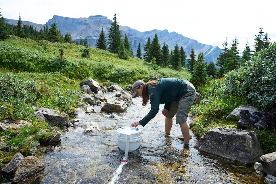 32483169_web1_230420-CPW-trout-banff-YouTube-Fine-trout_1