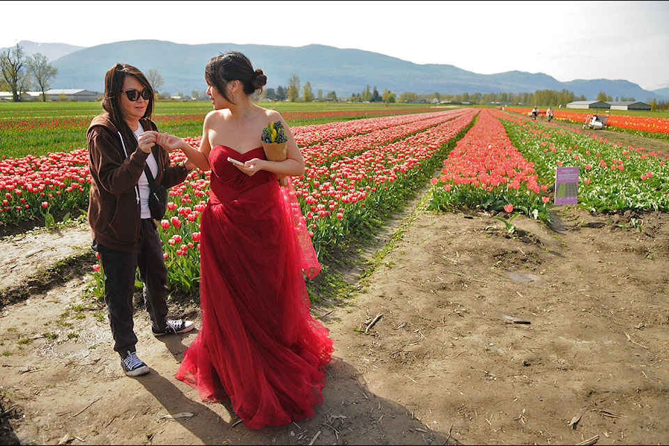 Roanna Young (left) helps Eileen Soo put pins in the back of her dress during the Chilliwack Tulip Festival on Thursday, April 27, 2023. (Jenna Hauck/ Chilliwack Progress)