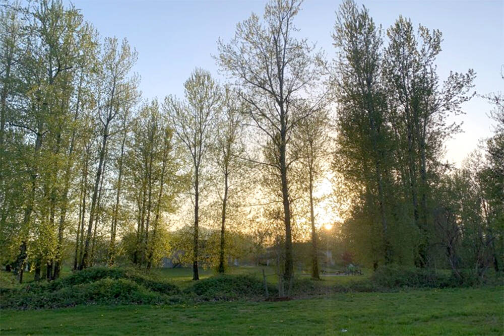 April ends in recordbreaking temperatures around eastern Fraser Valley