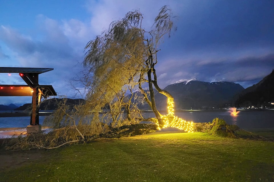 241108-aho-dfj-tree